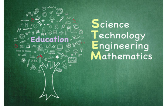 STEM Field and Education